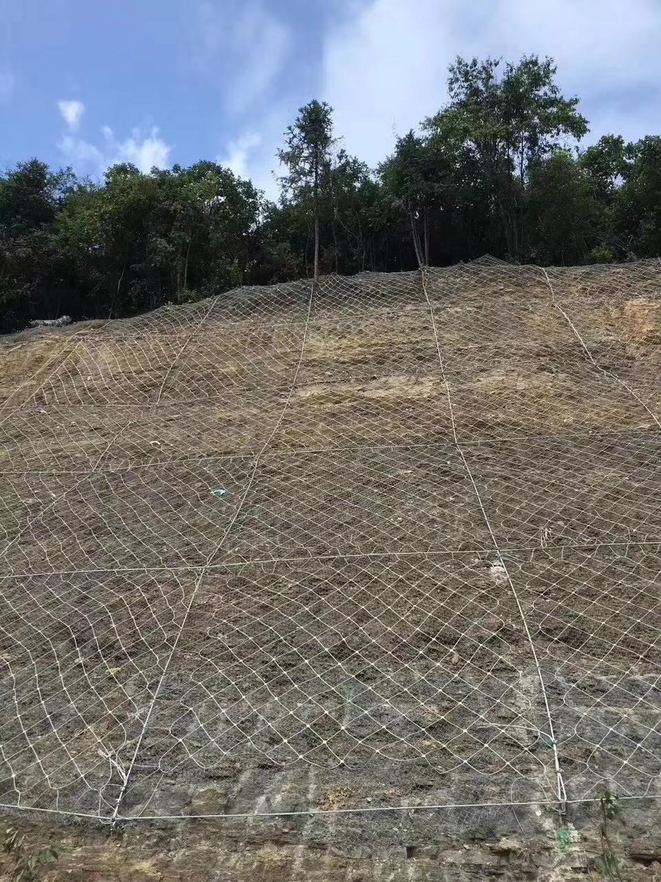 自動防護網實景