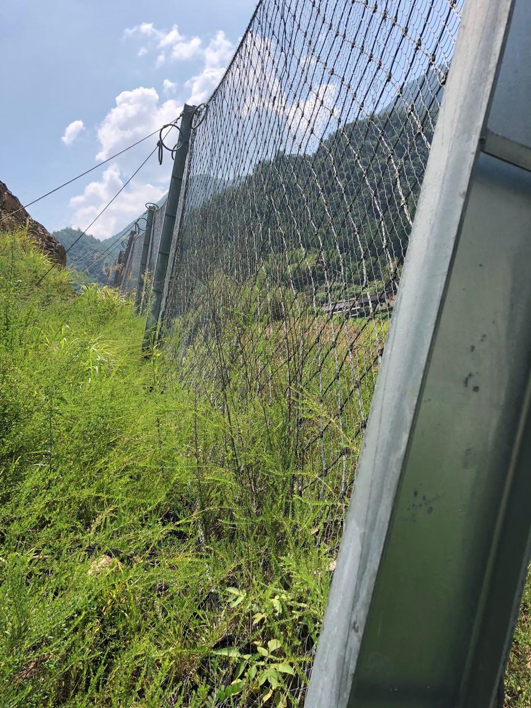 被動防護網(wǎng)實景網(wǎng)